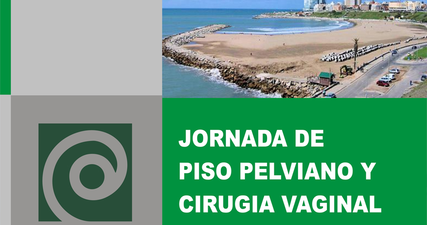 Nullam euismod commodo