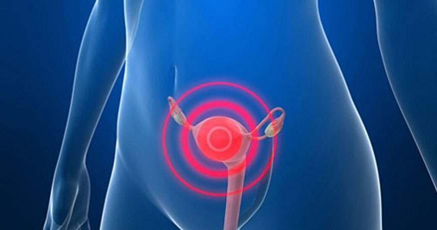 Nullam euismod commodo