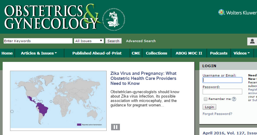 Nullam euismod commodo